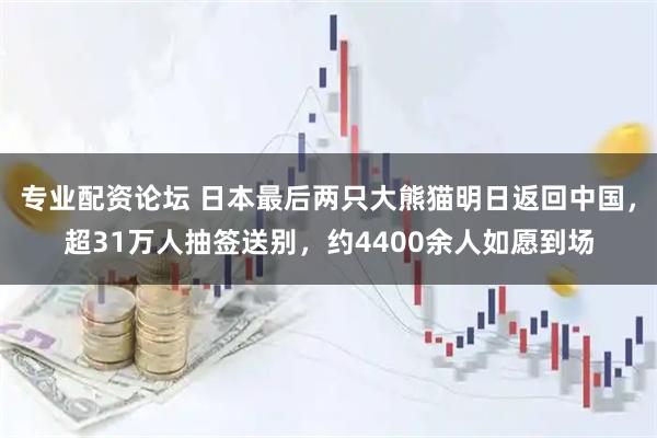 专业配资论坛 日本最后两只大熊猫明日返回中国，超31万人抽签送别，约4400余人如愿到场